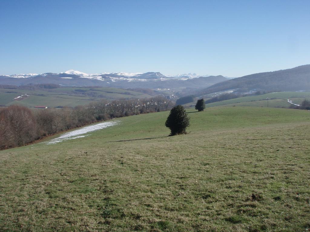 Casa Rural Irugoienea Espinal-Auzperri Εξωτερικό φωτογραφία